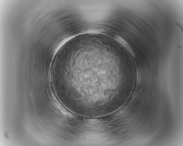 X0000100921436200807011256