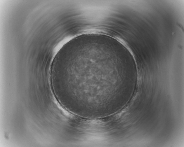 X0000100921437200807011256