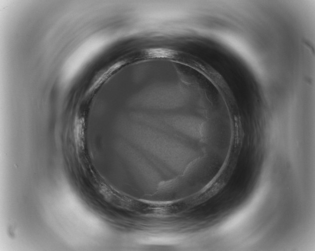 X0000100921438200807011256