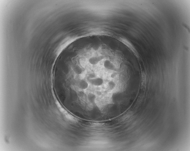 X0000100921439200807011256