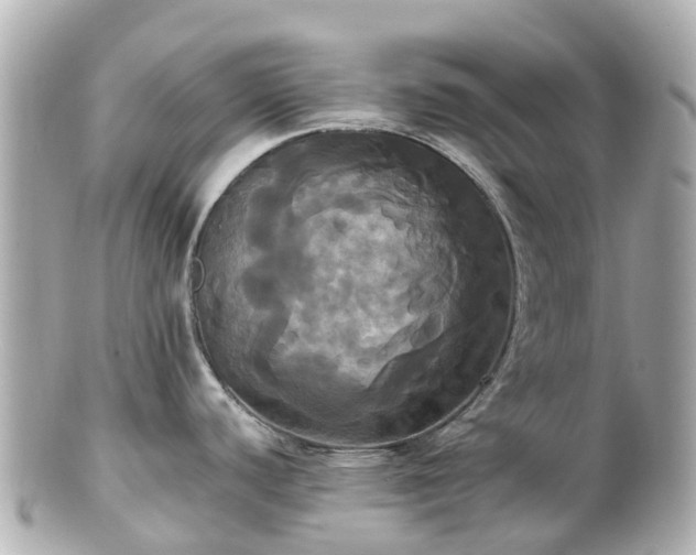 X0000100921440200807011256