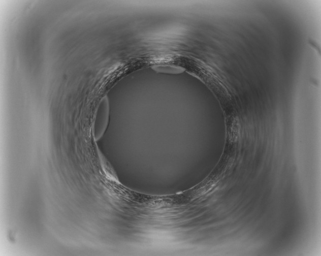 X0000100921441200807011255