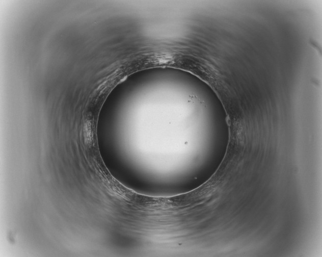 X0000100921442200807011255