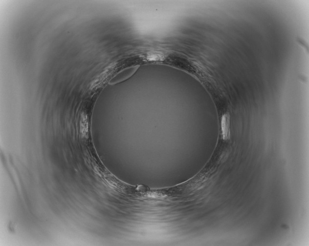 X0000100921443200807011255