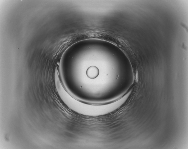 X0000100921444200807011255