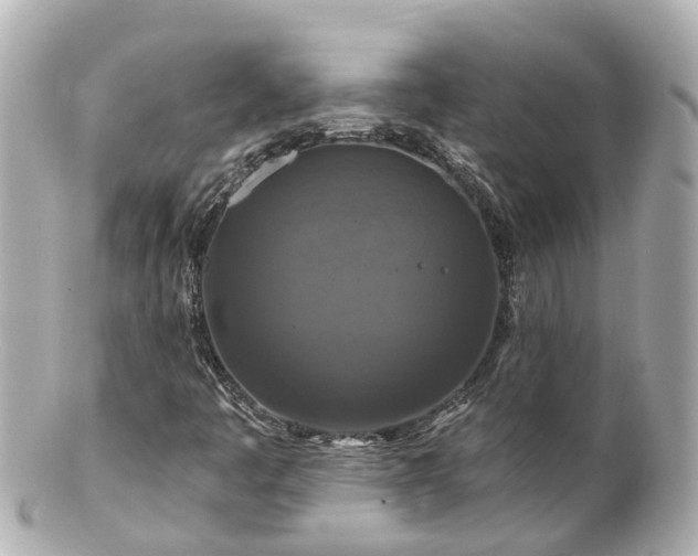 X0000100921445200807011255