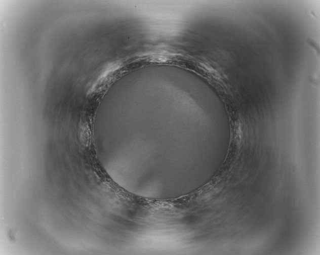 X0000100921446200807011255