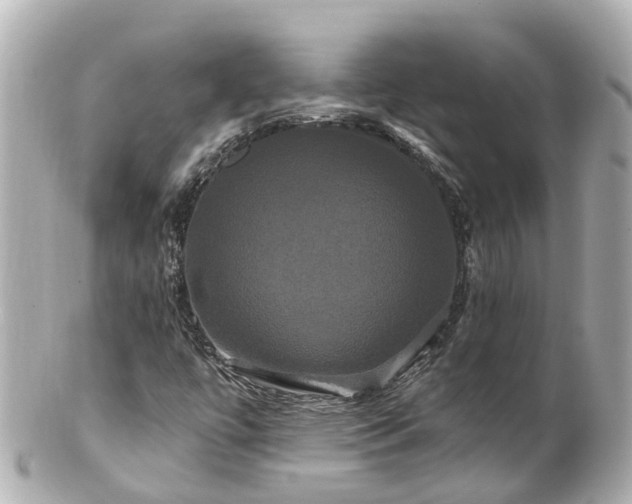 X0000100921447200807011255