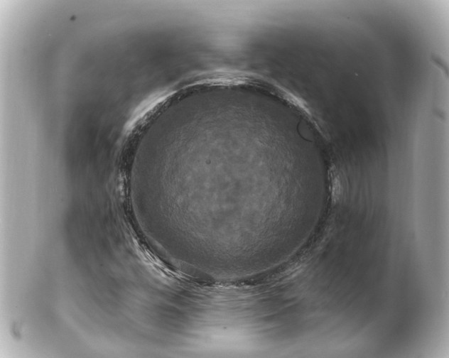 X0000100921448200807011255