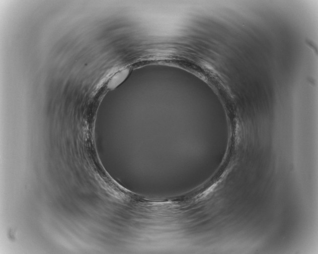 X0000100921449200807011255