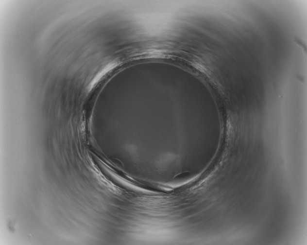 X0000100921450200807011255