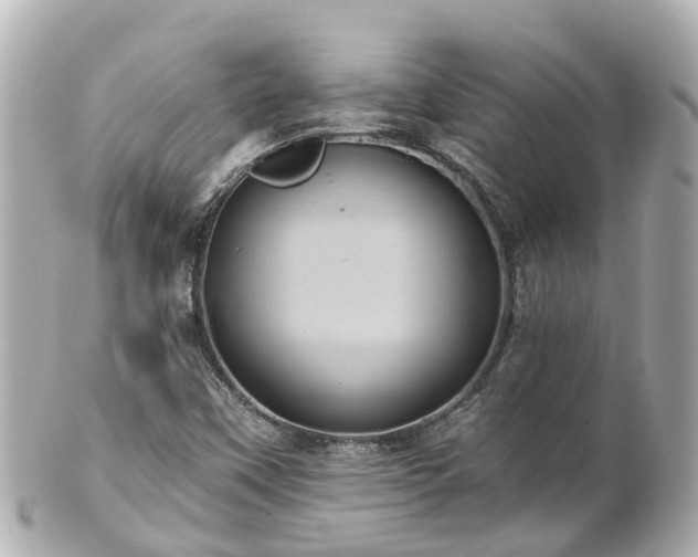 X0000100921451200807011255