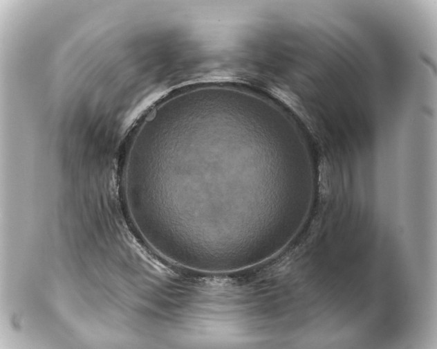 X0000100921452200807011255