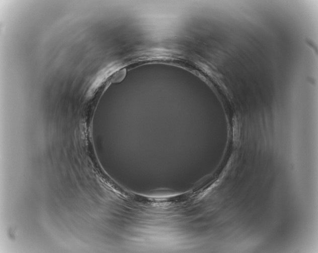 X0000100921453200807011255