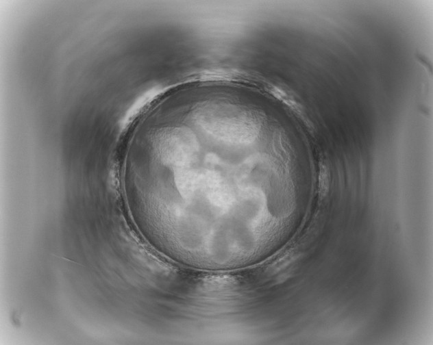 X0000100921454200807011255