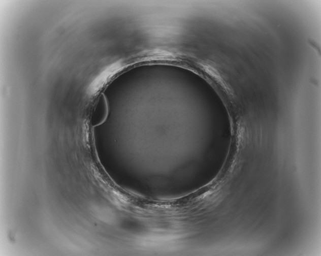 X0000100921455200807011255