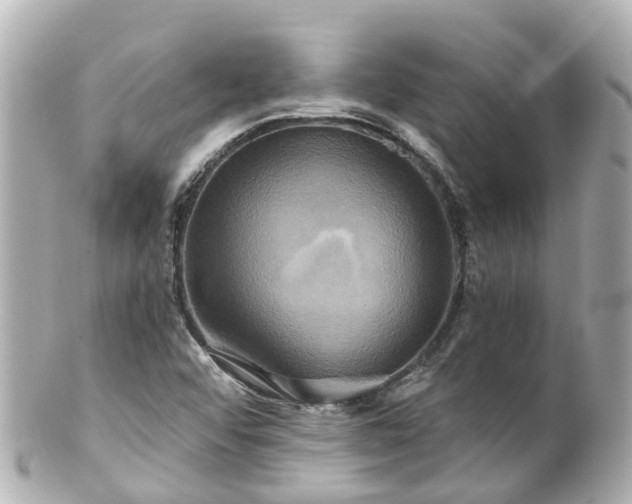 X0000100921456200807011255