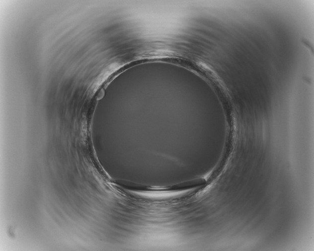 X0000100921457200807011255