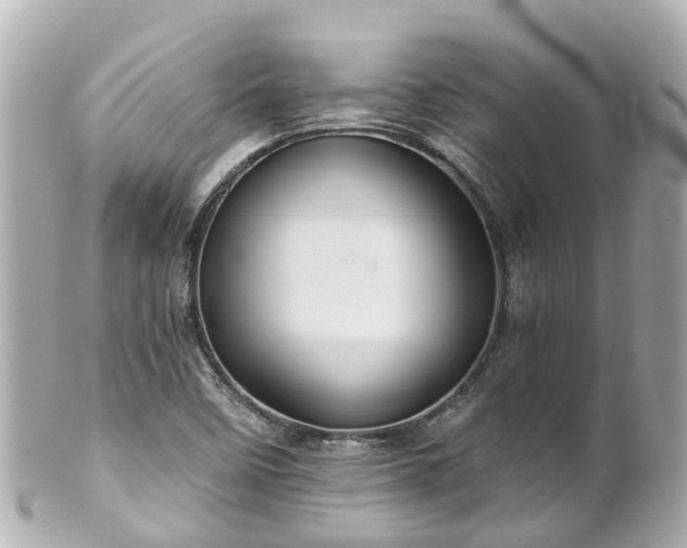 X0000100921458200807011255