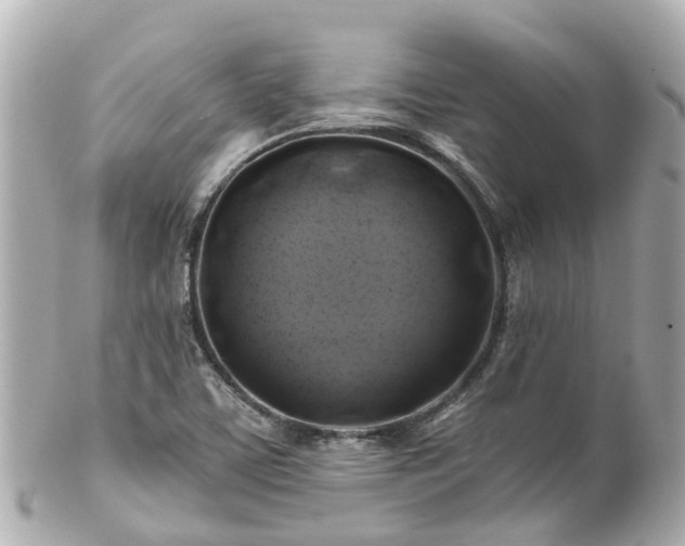 X0000100921459200807011255