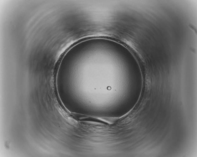 X0000100921460200807011255