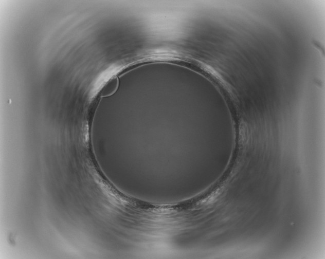 X0000100921461200807011255