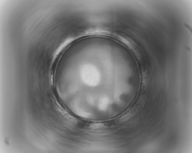 X0000100921462200807011255