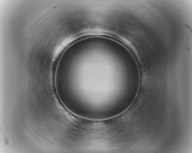 X0000100921464200807011255