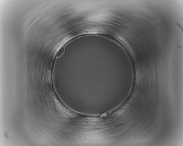 X0000100921465200807011255