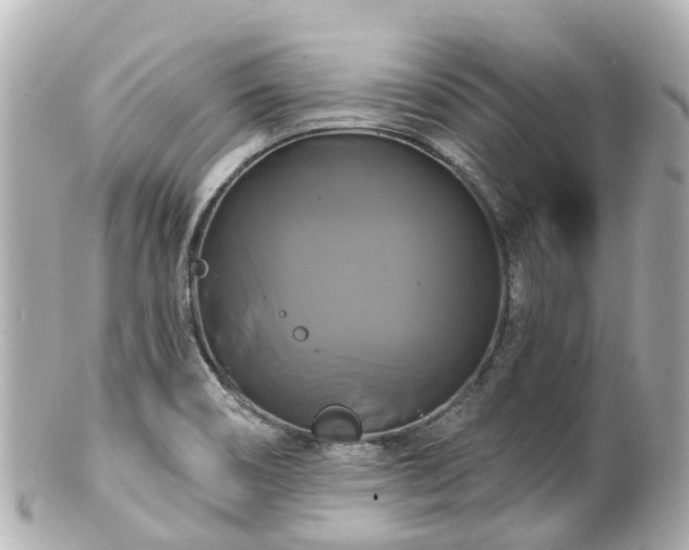 X0000100921466200807011255