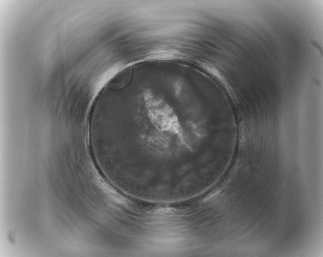 X0000100921467200807011255