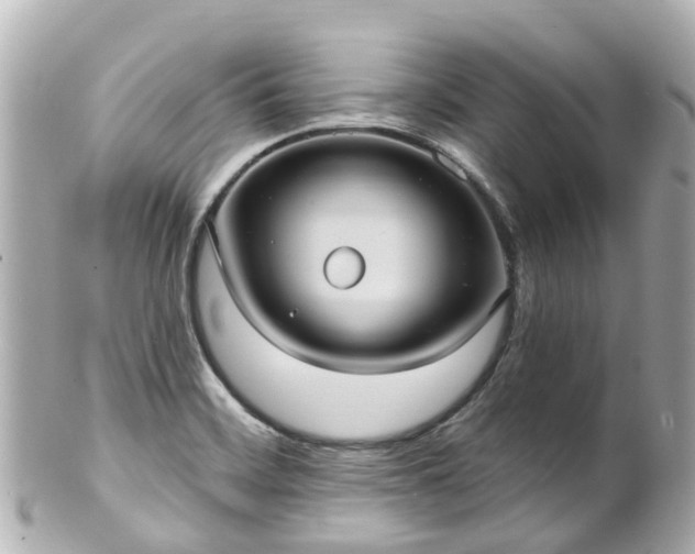 X0000100921468200807011255