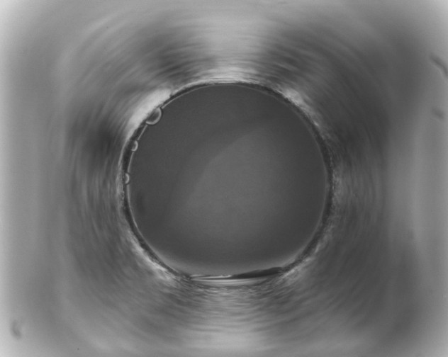 X0000100921469200807011255