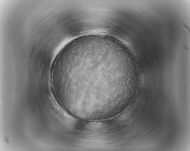 X0000100921470200807011255