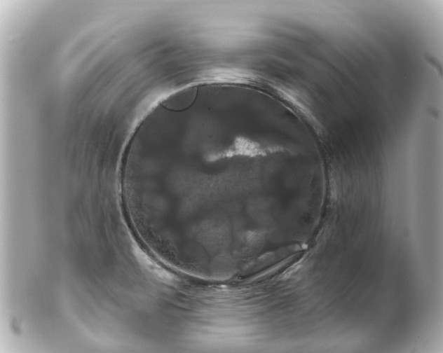 X0000100921471200807011255