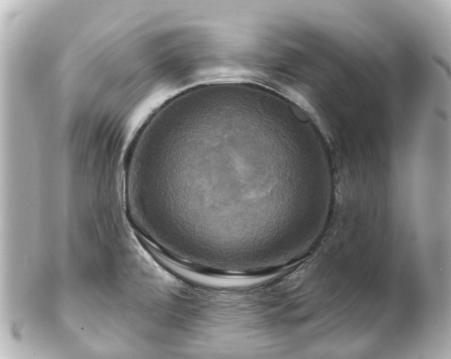 X0000100921472200807011255