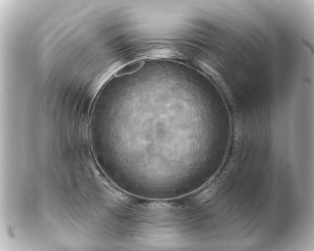 X0000100921473200807011255