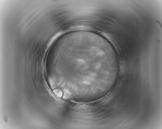 X0000100921474200807011255