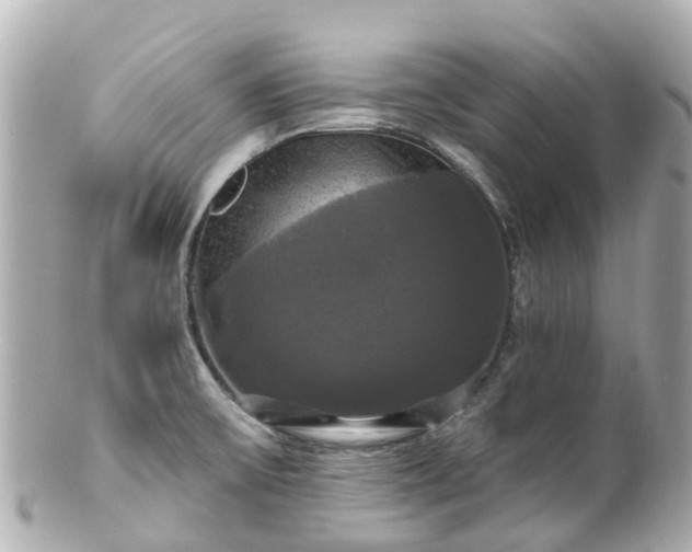 X0000100921475200807011255