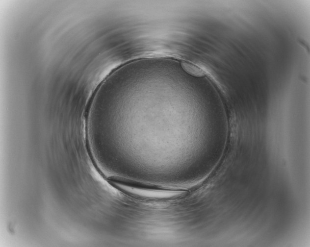 X0000100921476200807011255