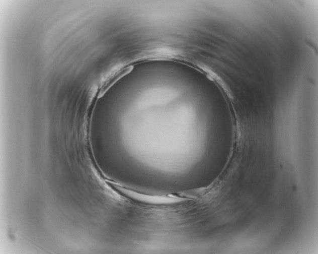 X0000100921477200807011255