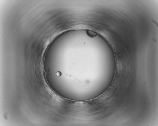 X0000100921478200807011255