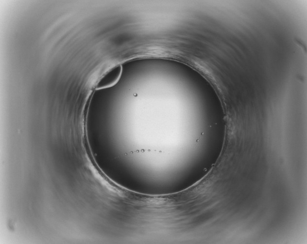 X0000100921479200807011255