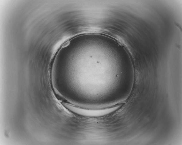 X0000100921480200807011255