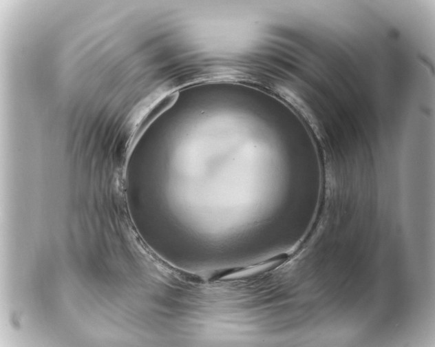 X0000100921481200807011255