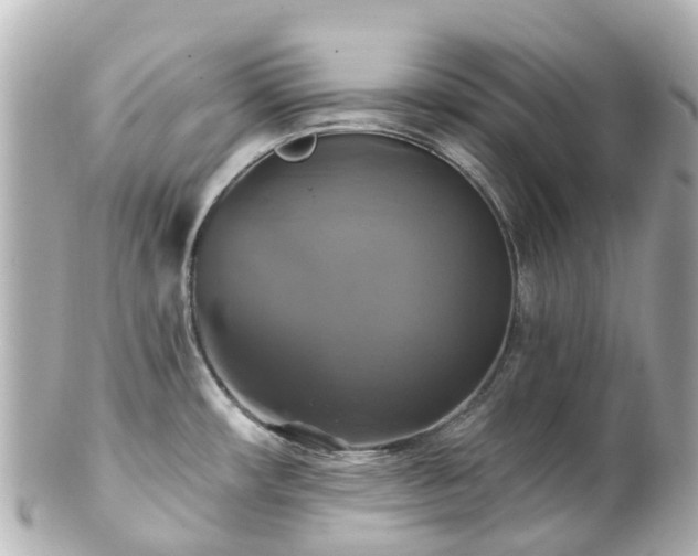 X0000100921482200807011255