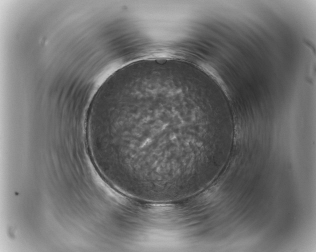 X0000100921483200807011255