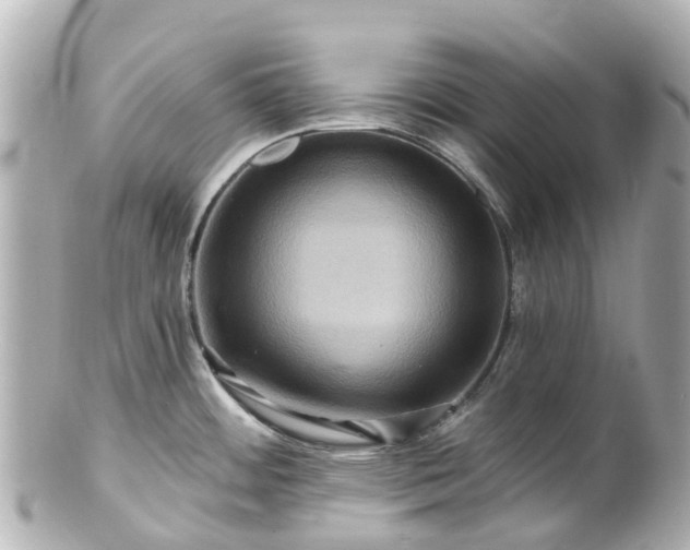 X0000100921484200807011255