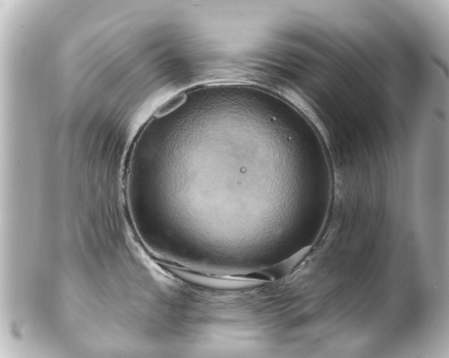 X0000100921485200807011255