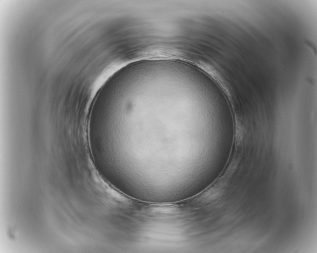 X0000100921486200807011255